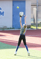 Harper Softball